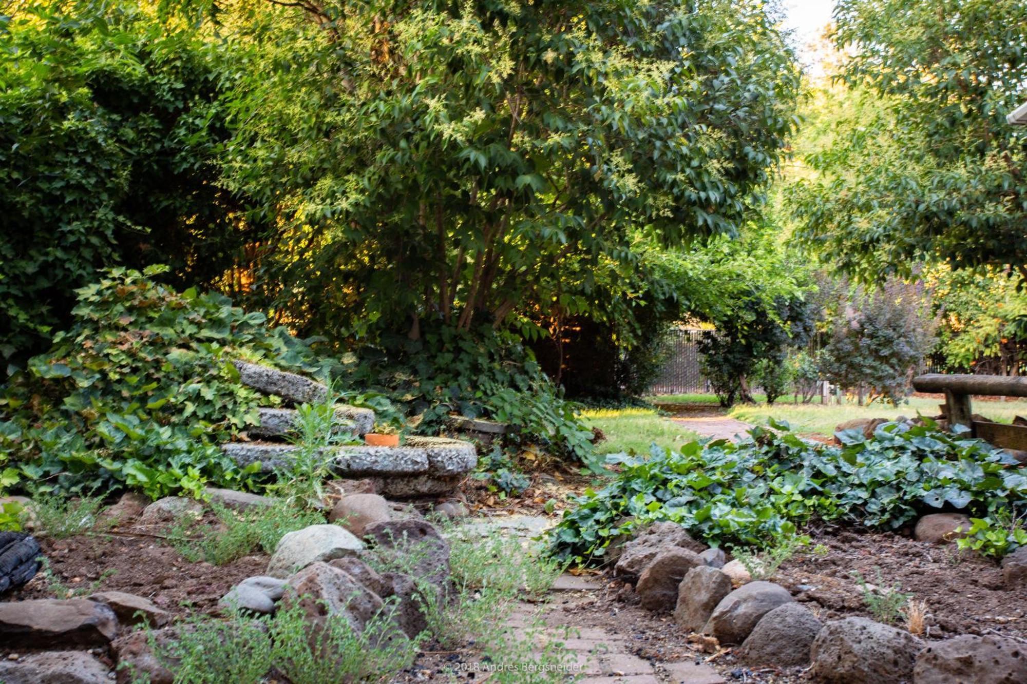 Downtown Dream Casa Near Chico State, Private Yard Βίλα Εξωτερικό φωτογραφία